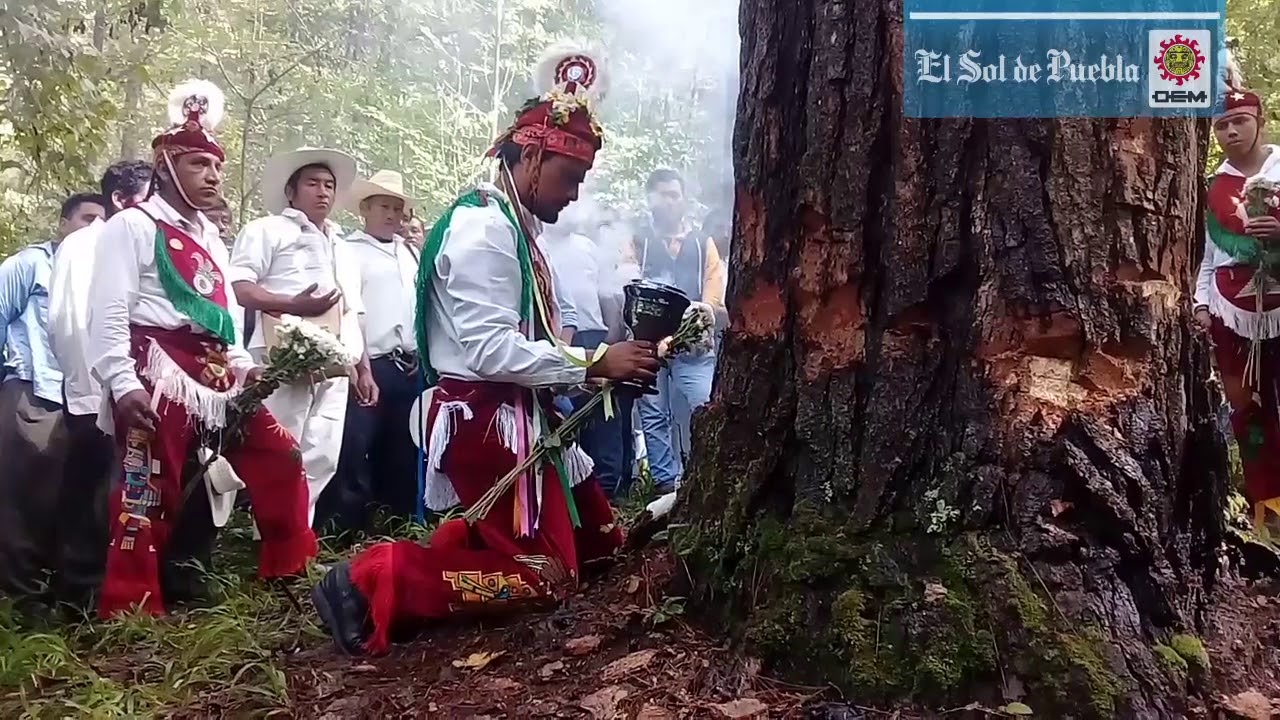 Voladores de Cuetzalan