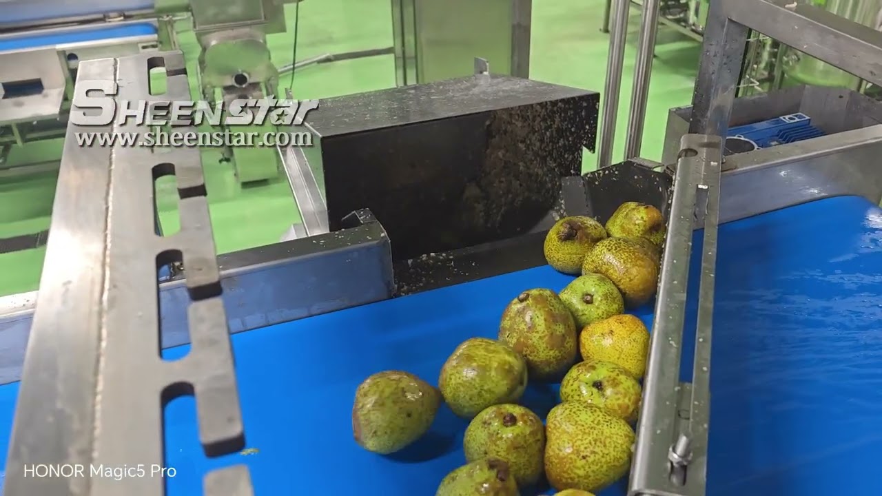 750ml 8400bph pear juice, pear washing, pear juice filling, capping, 24-24-2-6, four-in-one