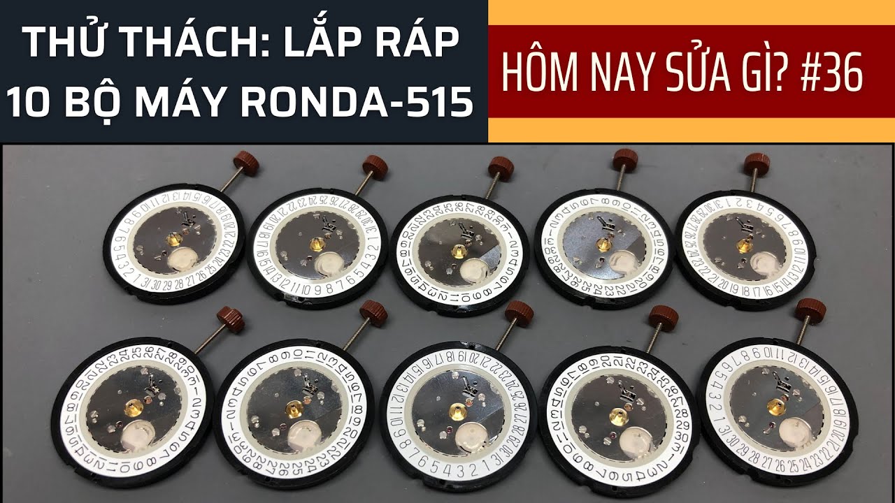 THỬ THÁCH: LẮP RÁP 10 BỘ MÁY ĐỒNG HỒ RONDA-515 CỦA THỤY SỸ | HÔM NAY SỬA GÌ? #36