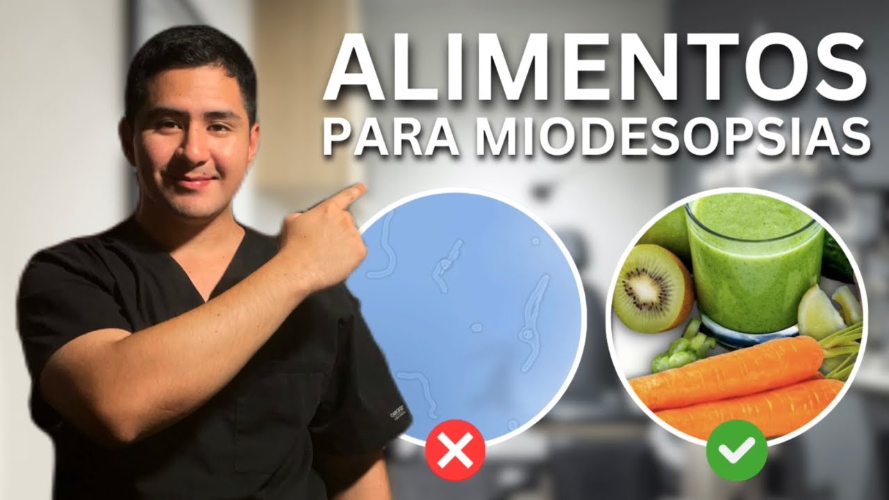 Alimentos para las MOSCAS VOLANTES (Según la Ciencia)