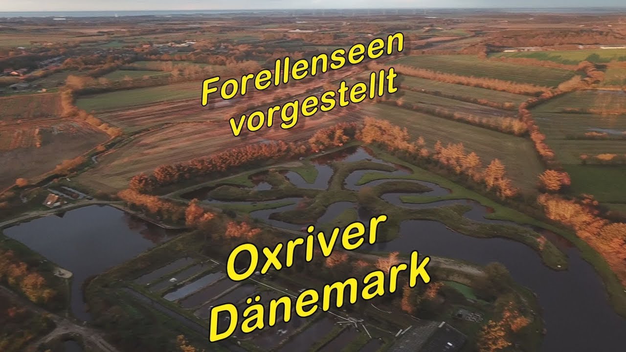 Forellenseen vorgestellt: Oxriver (Dänemark)