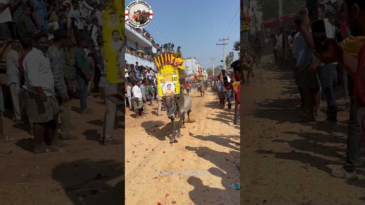 #tdp #viralvideo #chandrababusongs #shorts #dj #song #telugusongs #tdpparty #tdpvsycp