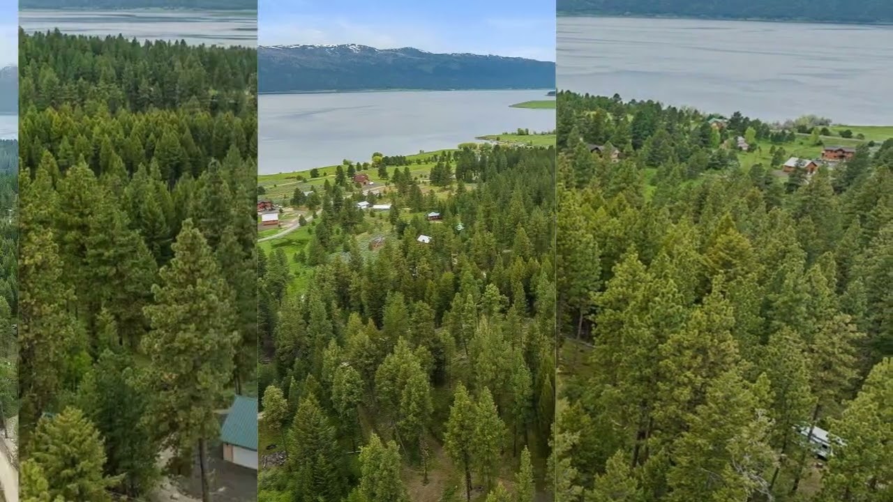 21 Starflower Dr Cascade, ID 83611