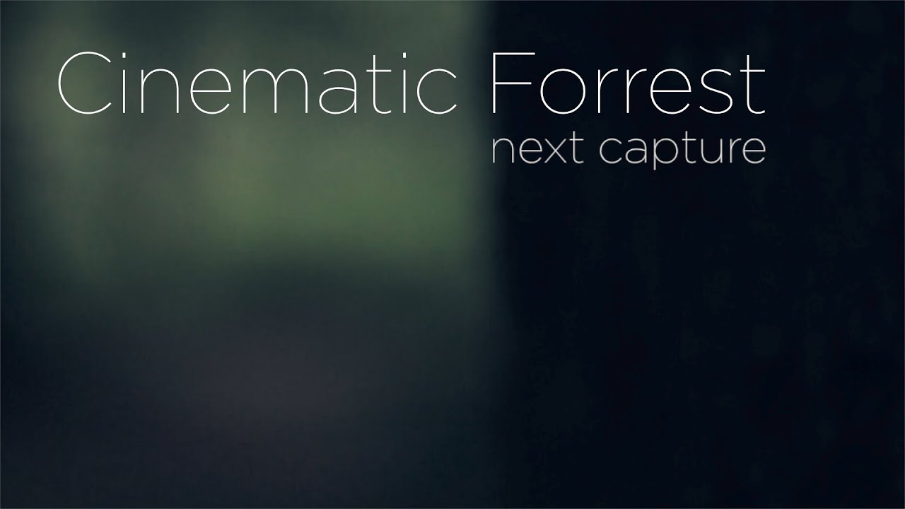 Next Capture - Cinematic Forrest