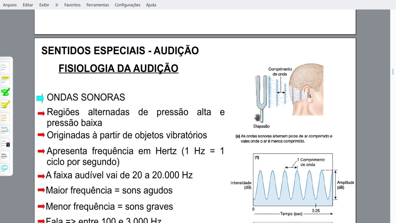 Audição 01