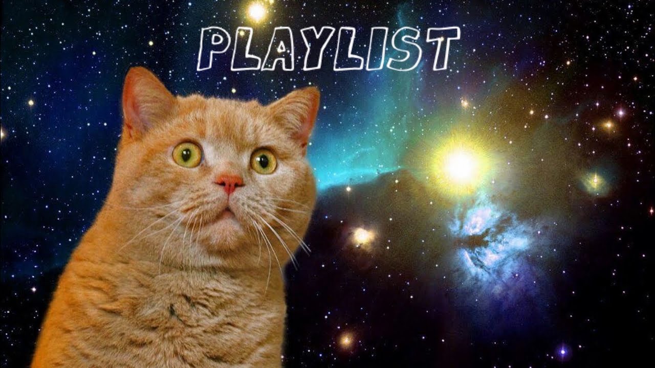 [PLAYLIST] 🌏세상이 너를 억까하냐옹~? 그거 별거아니다옹😽찌질해진 너의 마음에 에너지를 채워줄 팝송플리|팝송|팝송플리|느좋플리|