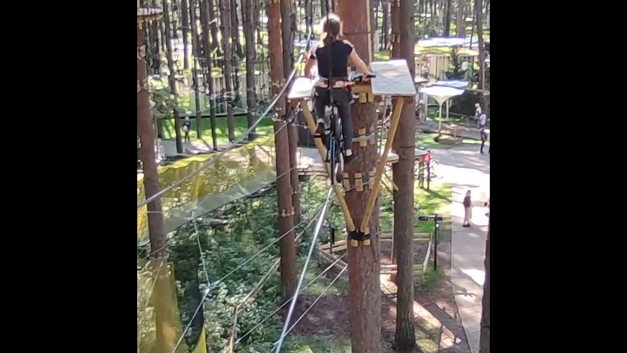 Лесной парк Дзинтари Panda trail Jūrmala