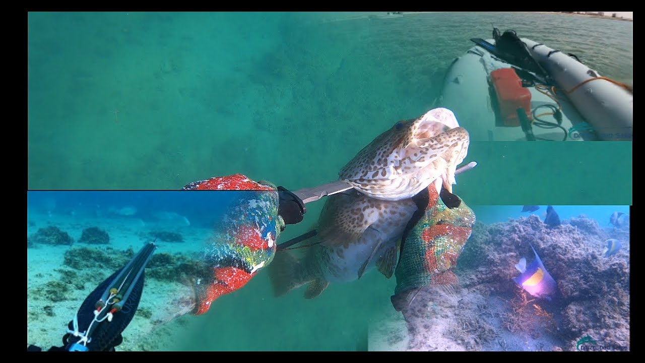 Spearfishing: firstime using inflatable boat