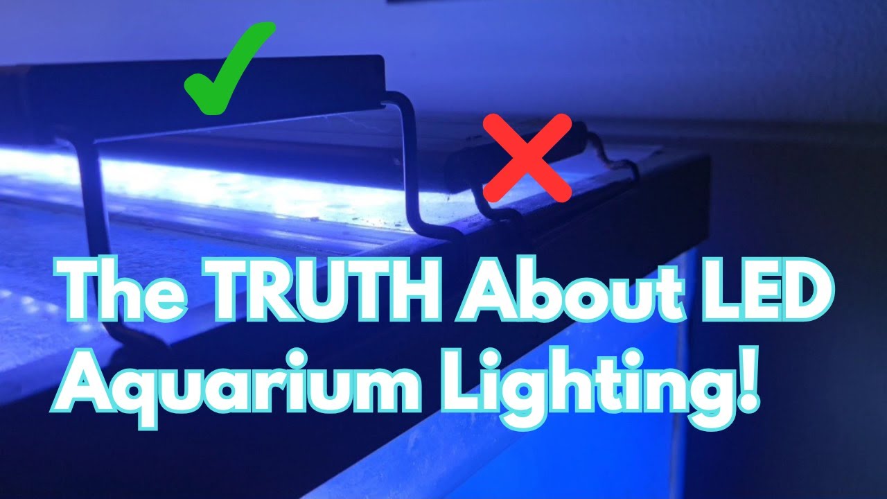 Full Spectrum Aquarium Light Review That Actually Works