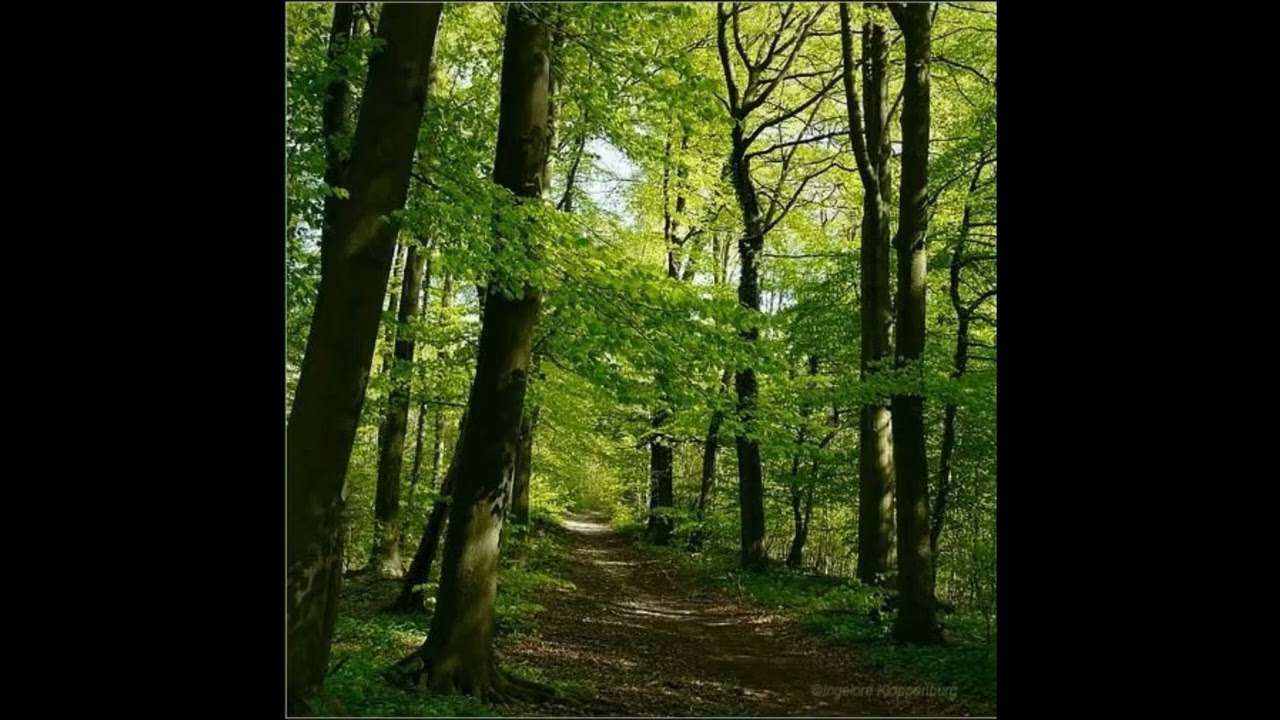 John Kersey plays Walter Niemann Reisebilder, op. 10