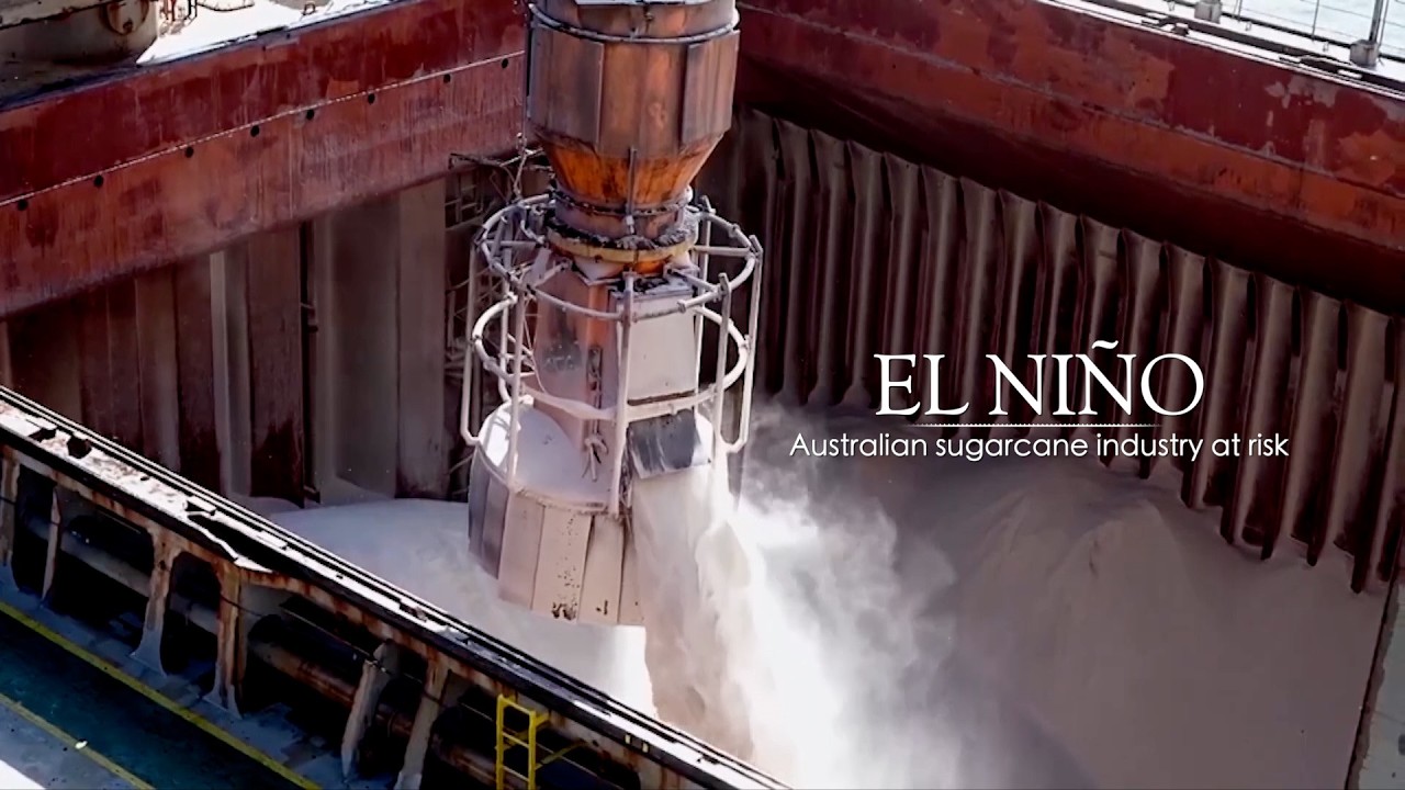 Inside El Nino &ndash; Australian sugarcane at risk