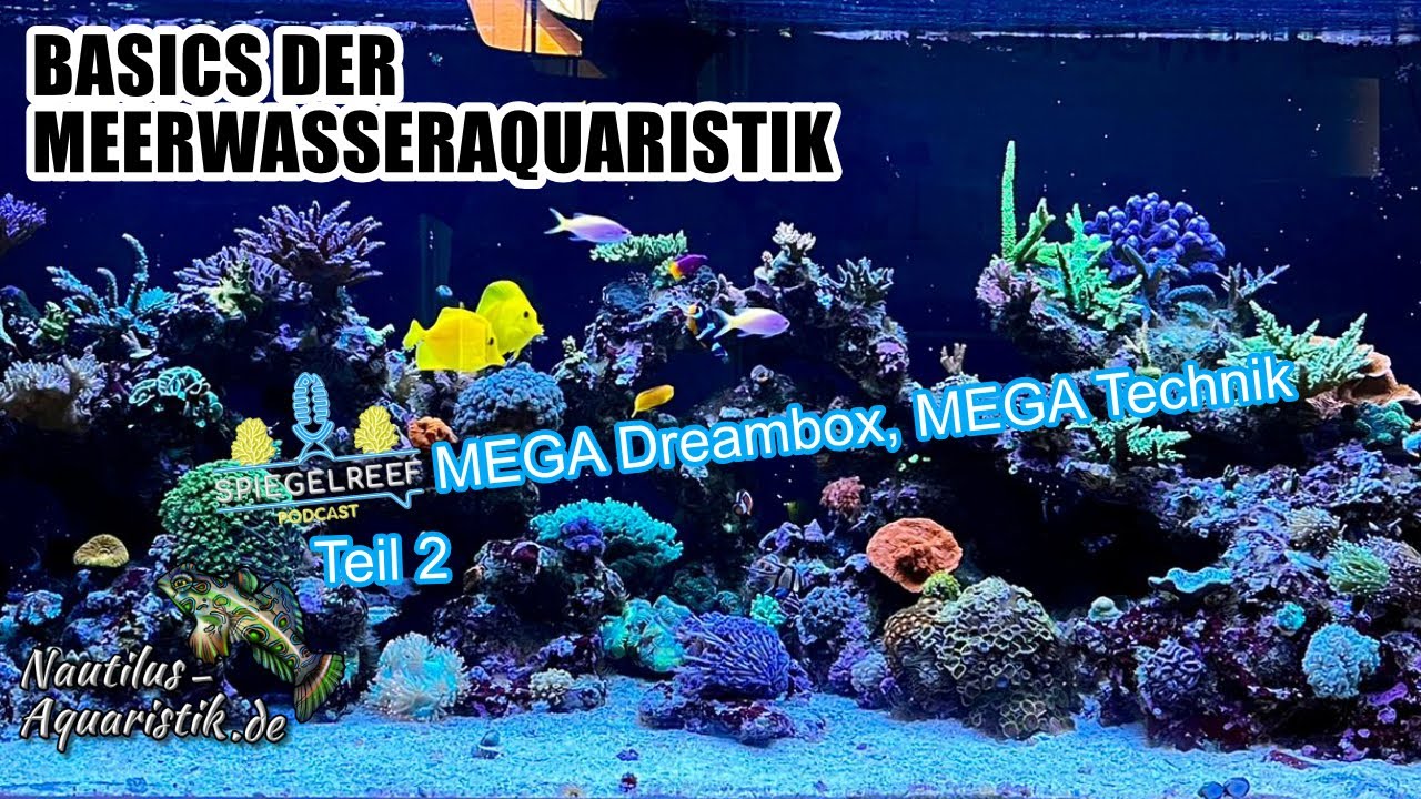 MEGA Dreambox, MEGA Technik