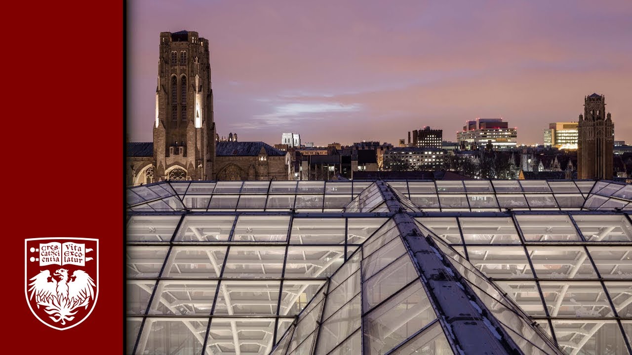 UChicago Architecture: Steve Wiesenthal on the Campus's Architectural Legacy