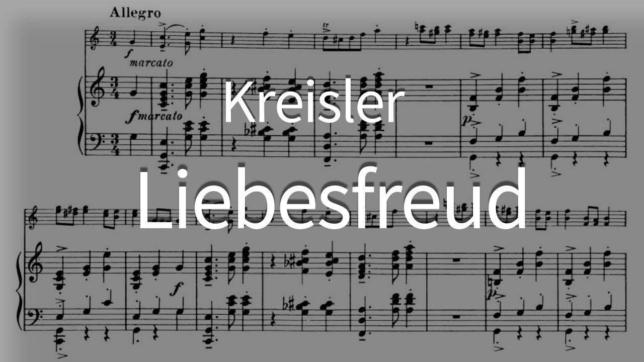 Liebesfreud by Kreisler (Love's joy) | 사랑의 기쁨 (크라이슬러)