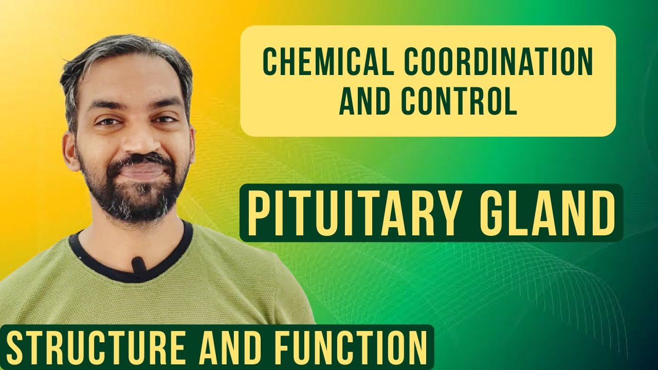Chemical coordination and integration | Pituitary Gland Class 11 NCERT Biology