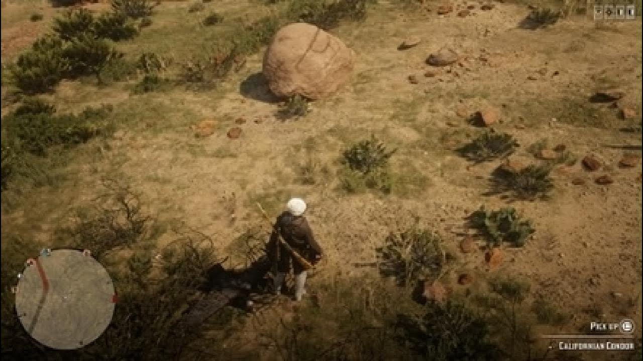 Red Dead Redemption 2_20260131010450