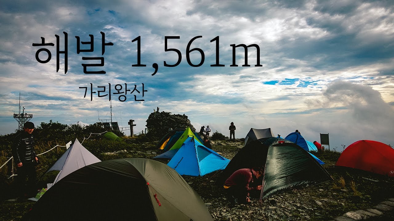 4K 가리왕산 백패킹 | 1561m 원시림에서 1박 | 역대급 백패킹을 경험하고 왔습니다