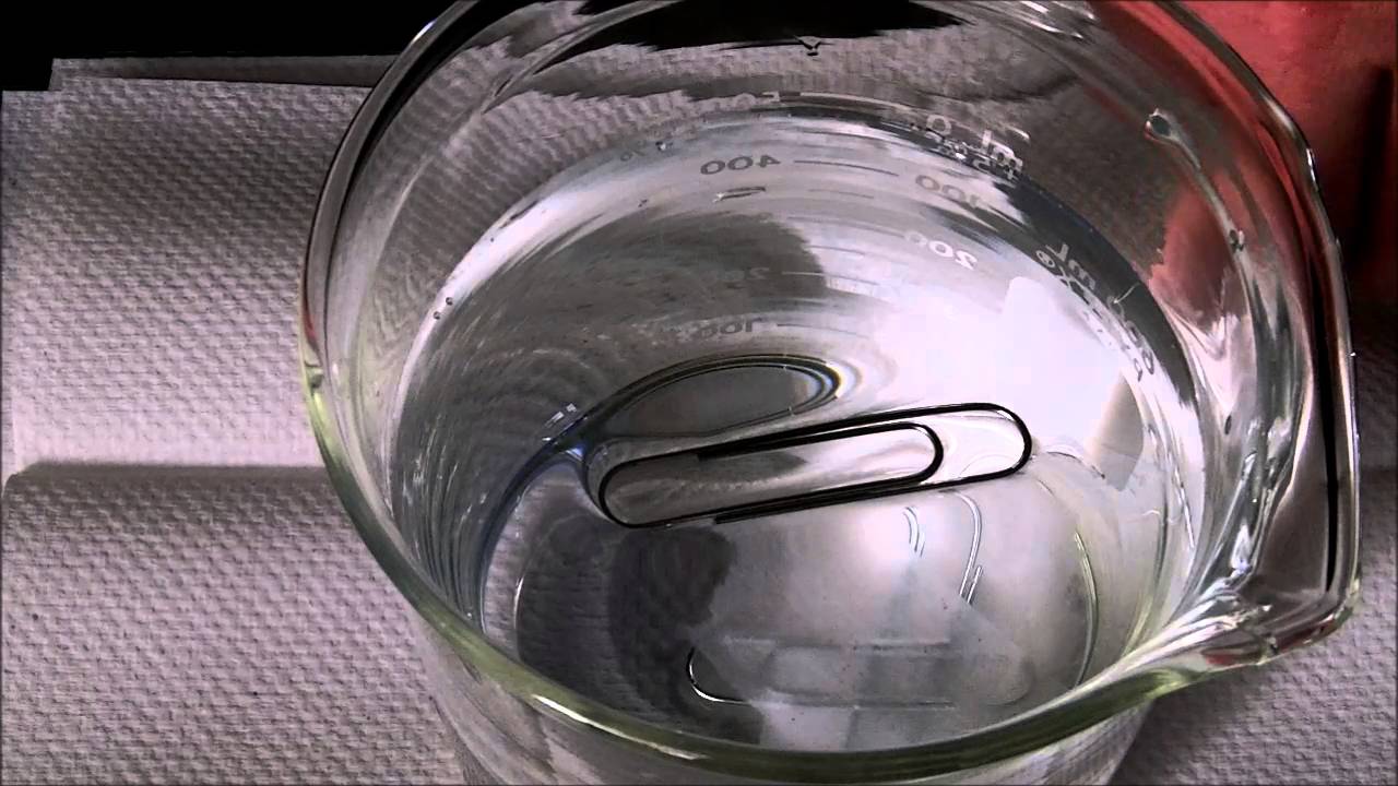 Plainfield Chemistry - Surface Tension and a Floating Paperclip