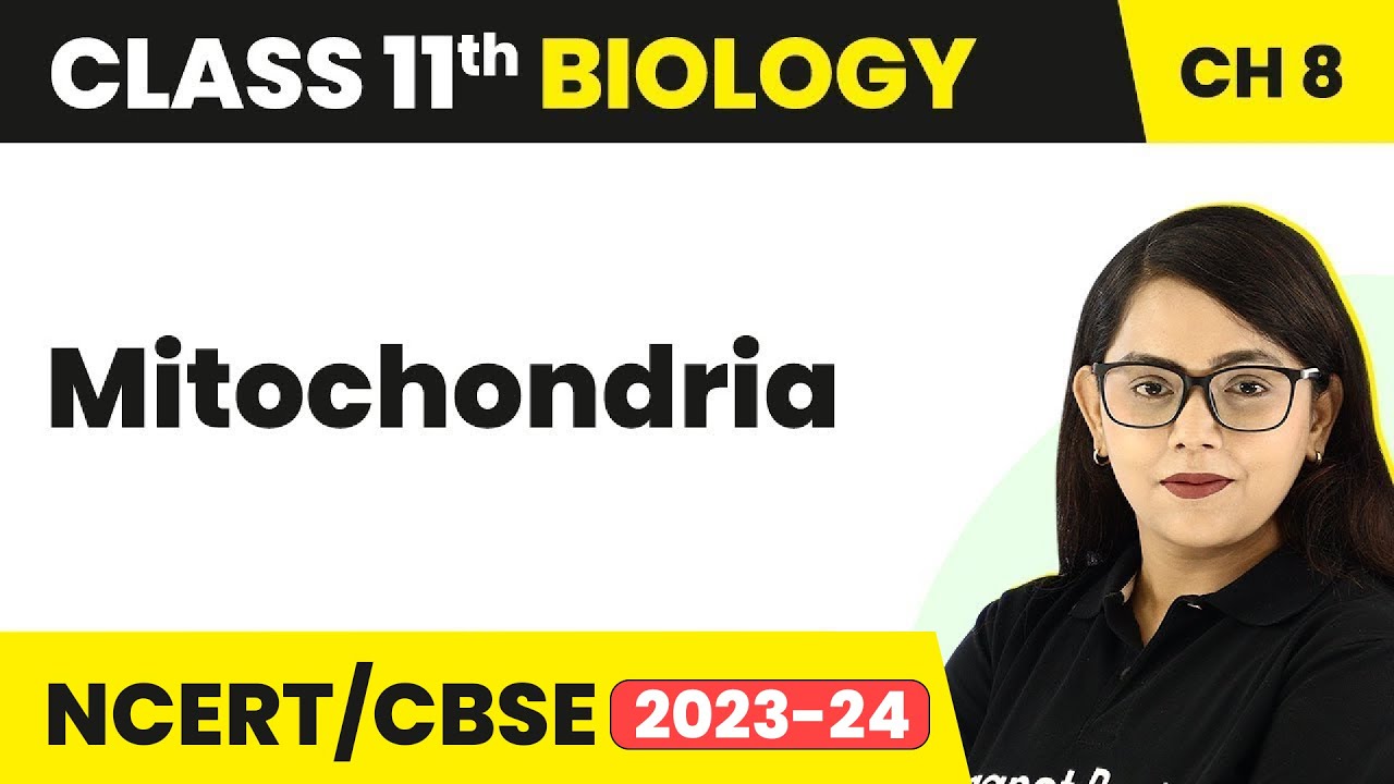 Mitochondria - Cell The Unit of Life | Class 11 Biology
