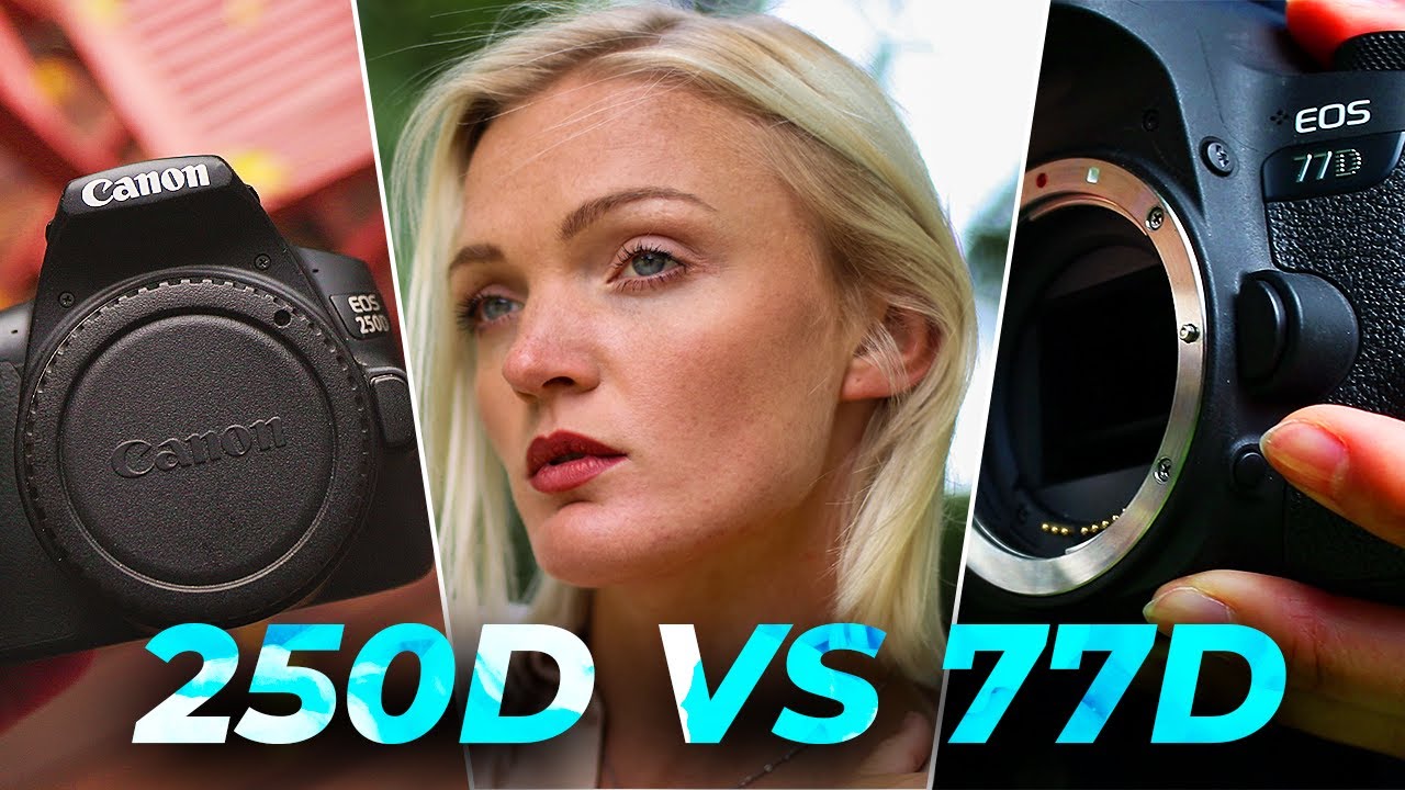 Что? Сравнение и обзор цифровых зеркальных фотокамер Canon 250D и Canon 77D | Canon EOS
