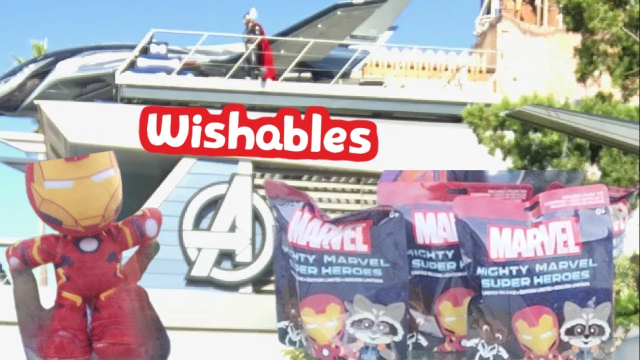 Wolfie opens his last set of Disney Wishables (maybe): Can we get our money back?