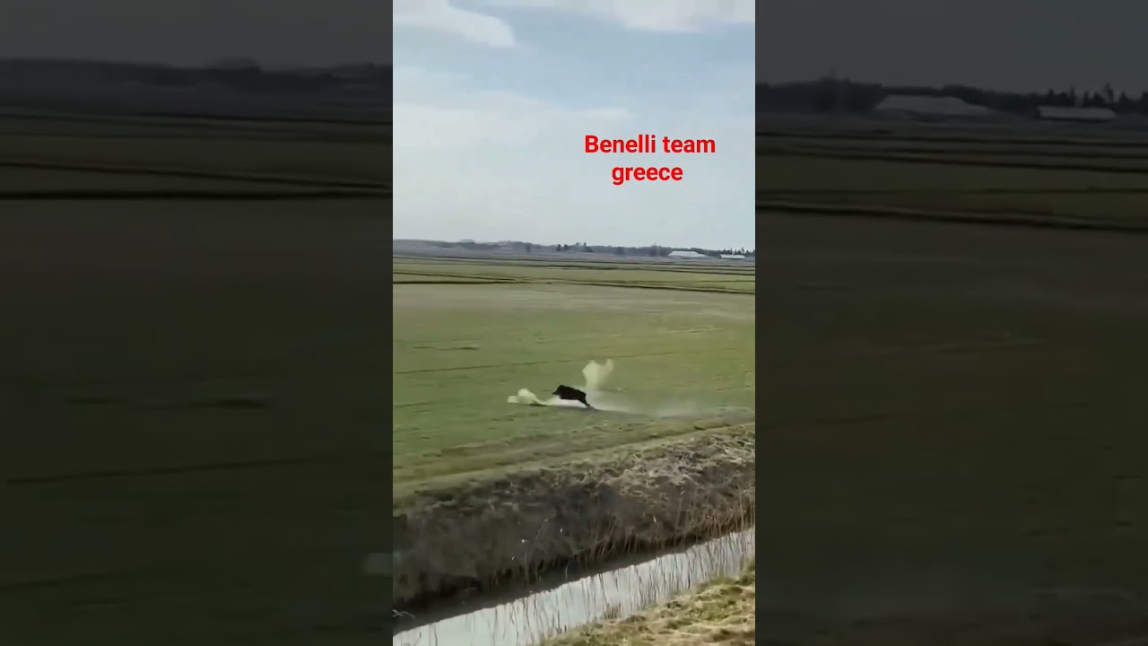 Benelli team greece