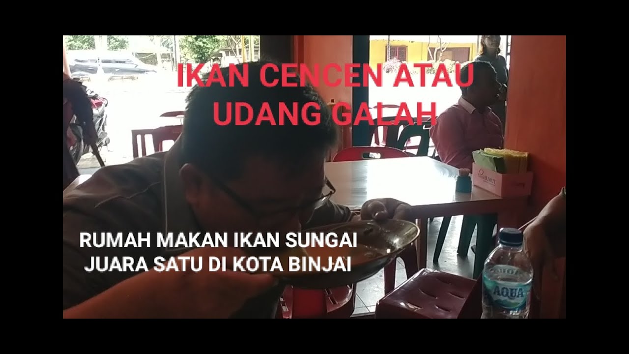RUMAH MAKAN IKAN SUNGAI JUARA SATU NIKMAT SEKOTA BINJAI. 30 KILO SEHARI IKAN SUNGAI LUDES.