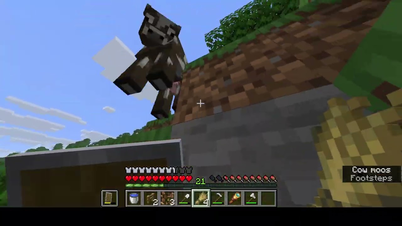 Minecraft part 2