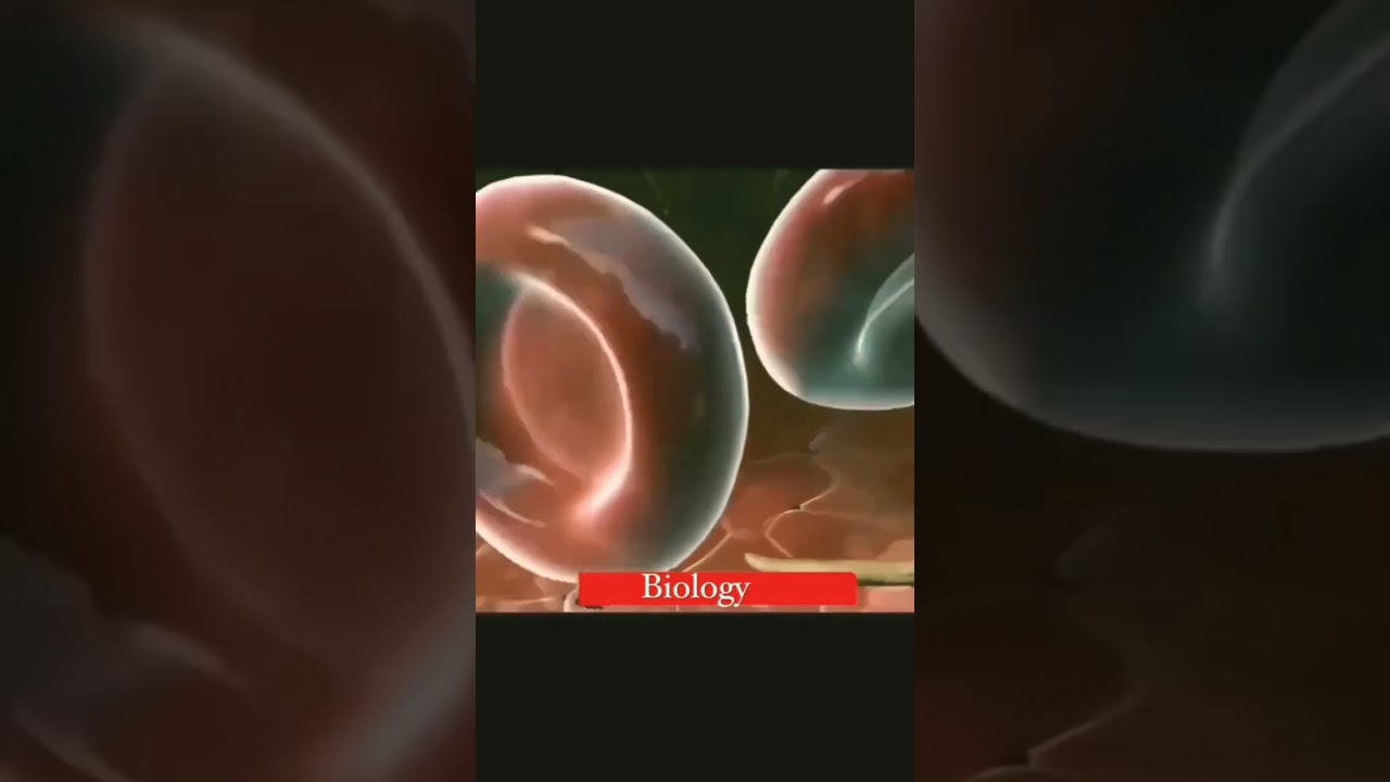 #bloodclots#health#bloodprocess#fact #skincut#health #healthanimation#healthvideo#humenblood#skin