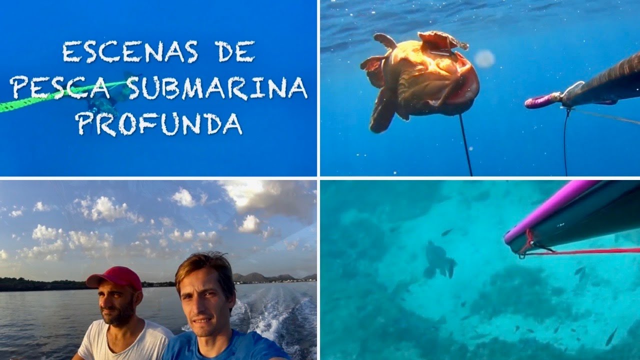 Pesca Submarina. Escenas de Pesca PROFUNDA 2018