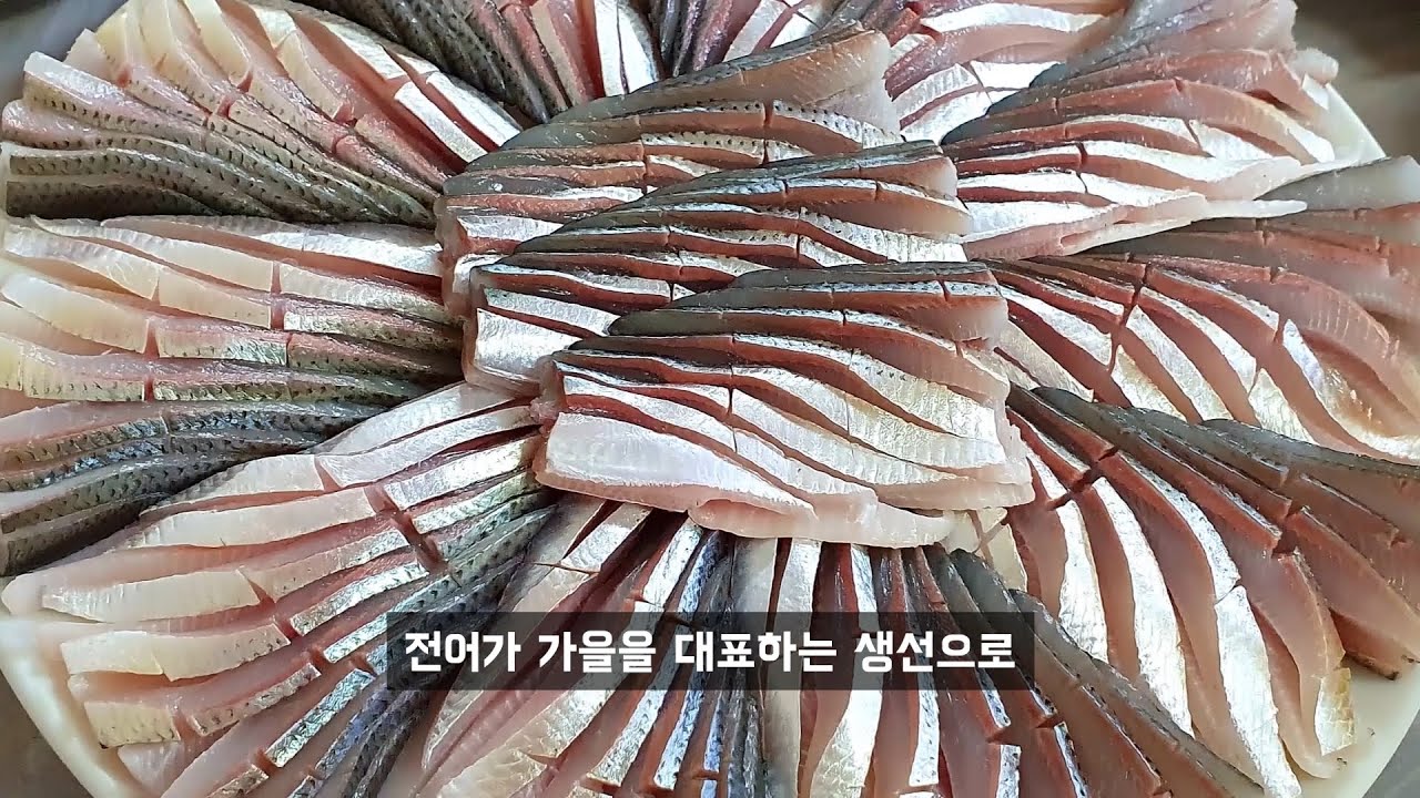 전어에서 시체 타는 냄새가 난다? l 가을 전어 스토리