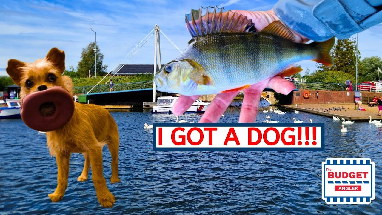 Fishing on The Norfolk Broads Summer 2024