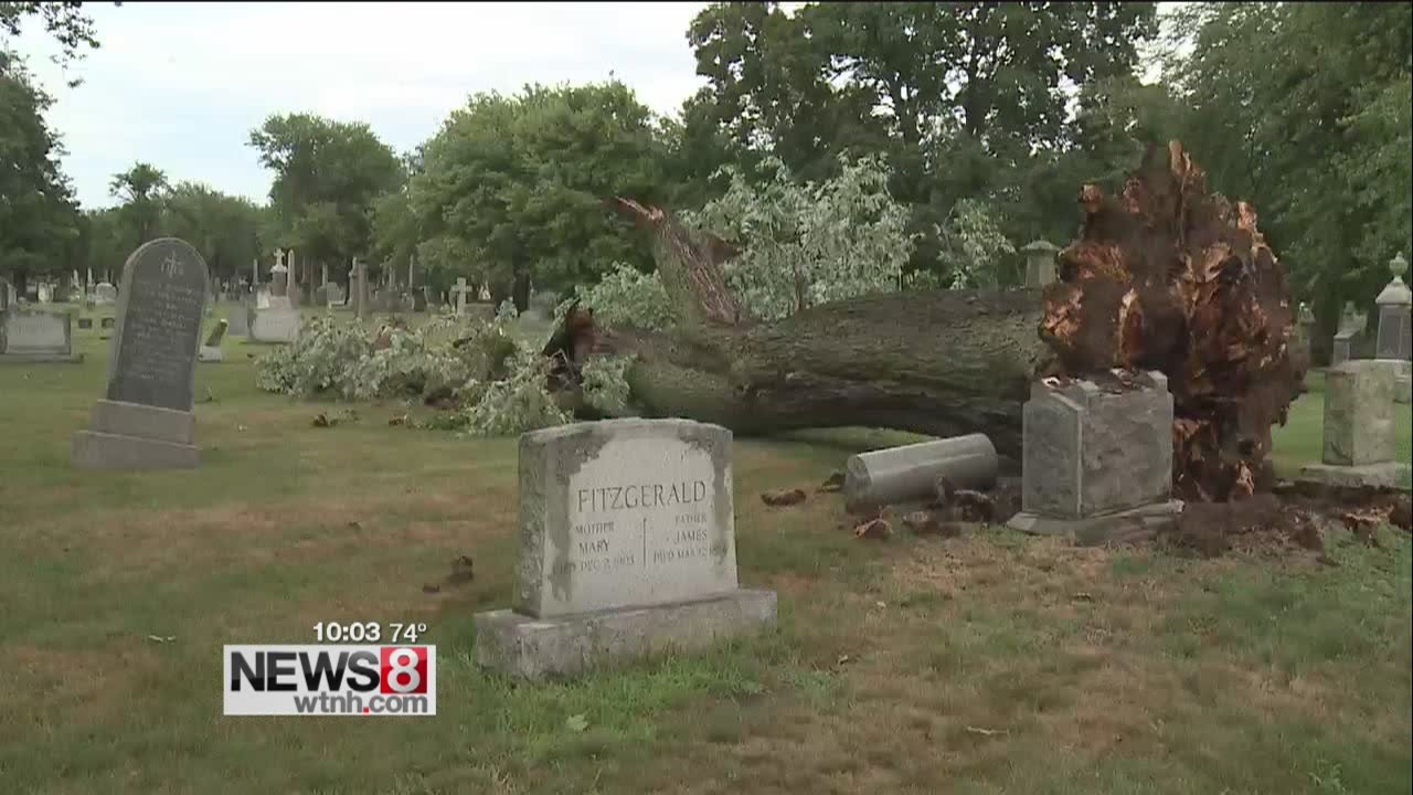 Storms knock down trees, snap power lines