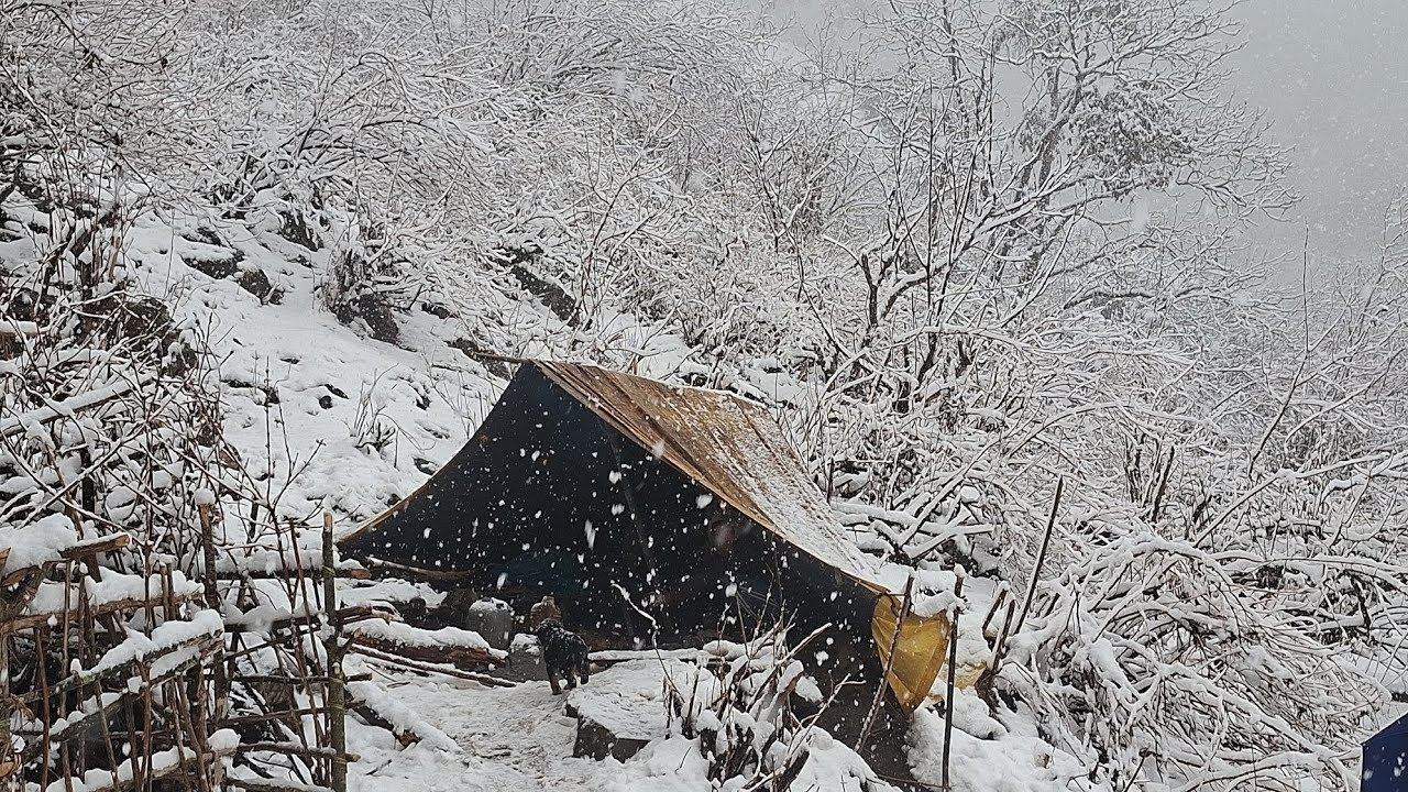 Best Life in The Nepali Himalayan Village During The Winter । Documentary Video Snowfall Time