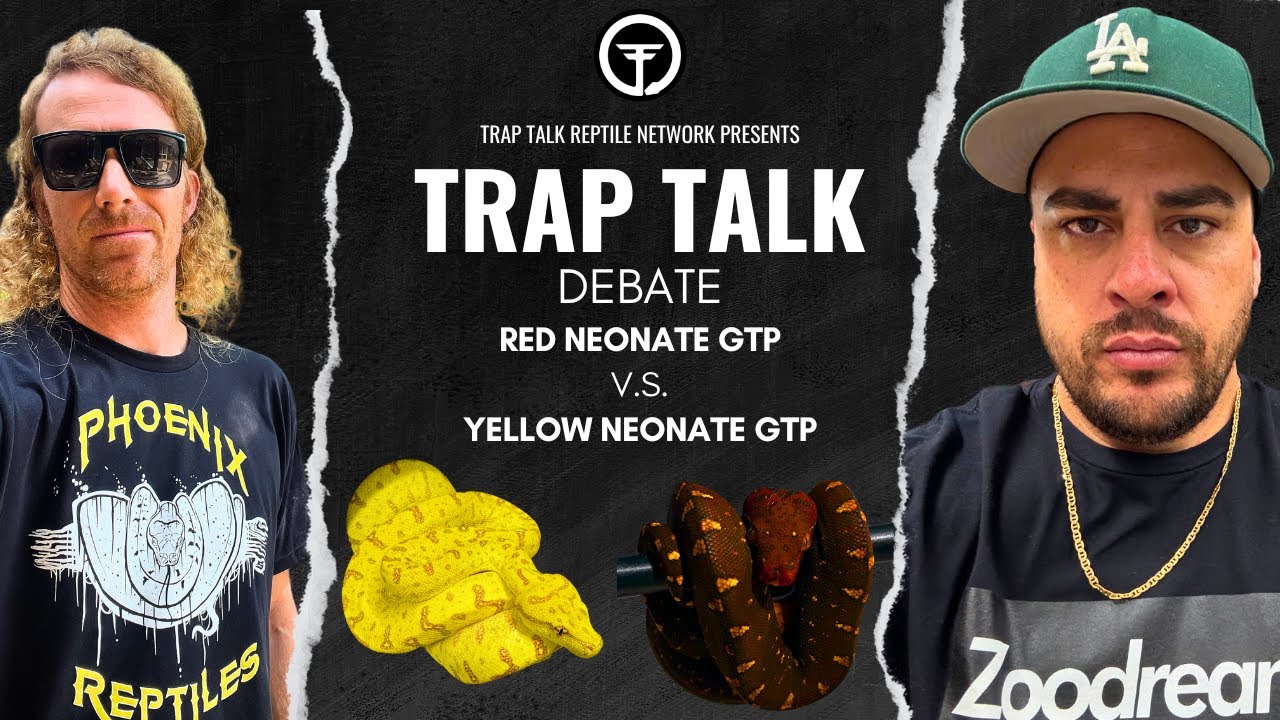 MARK HEGER & MJ FINALLY SETTLE THE SCORE ON RED VS YELLOW GTP NEONATE | TRAP TALK