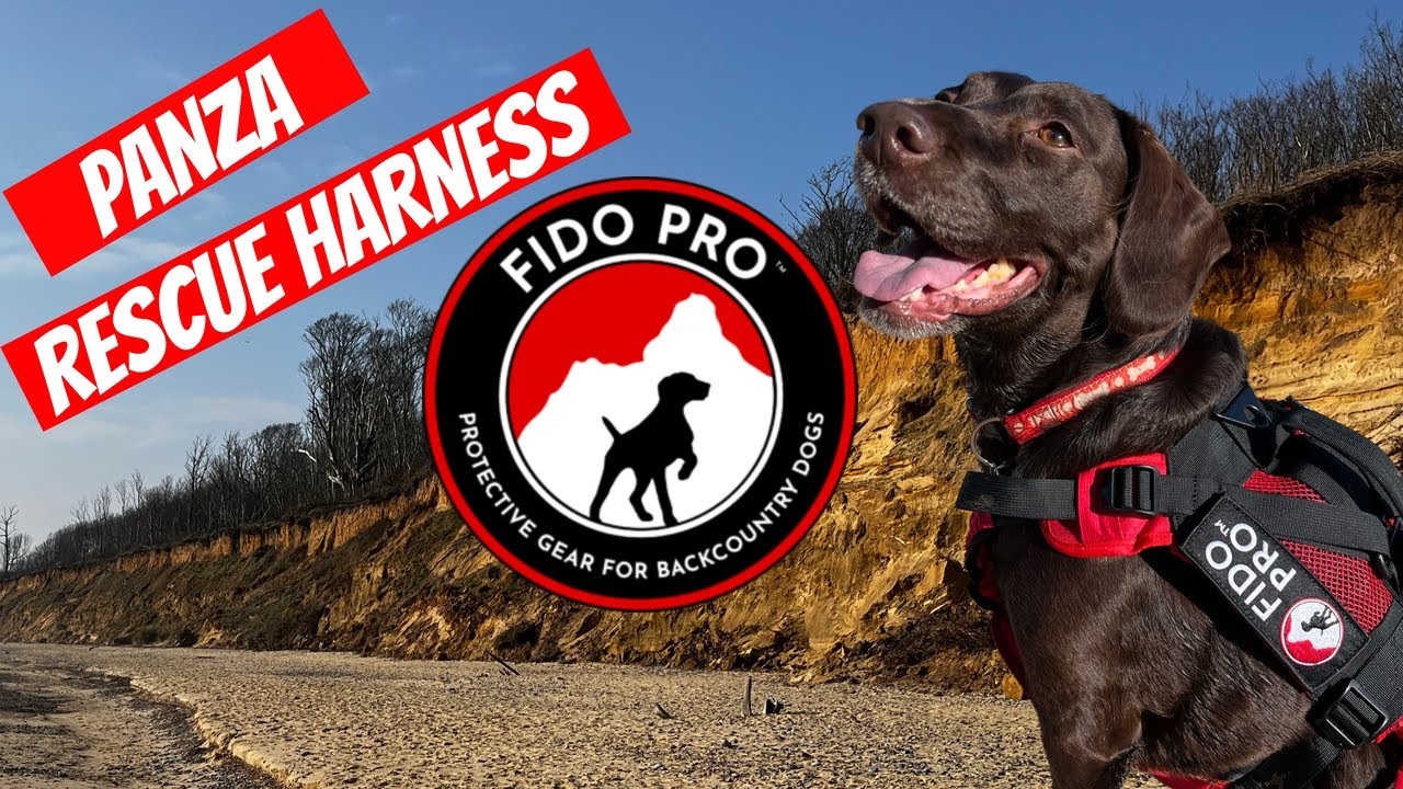 Спасательная шлейка для собак Panza от Fido Pro