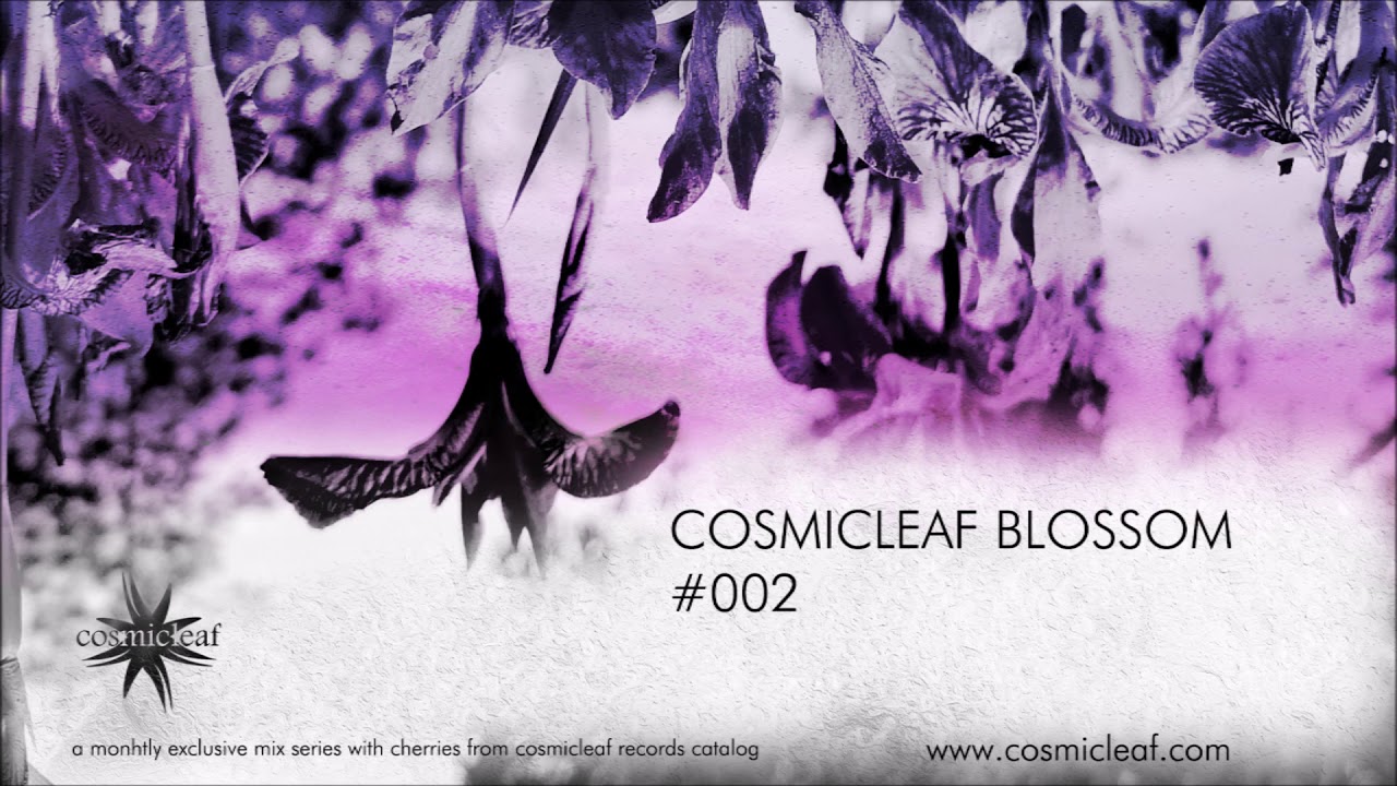 Cosmicleaf Blossom # 002 (Mixed by Nick Miamis aka Side Liner)