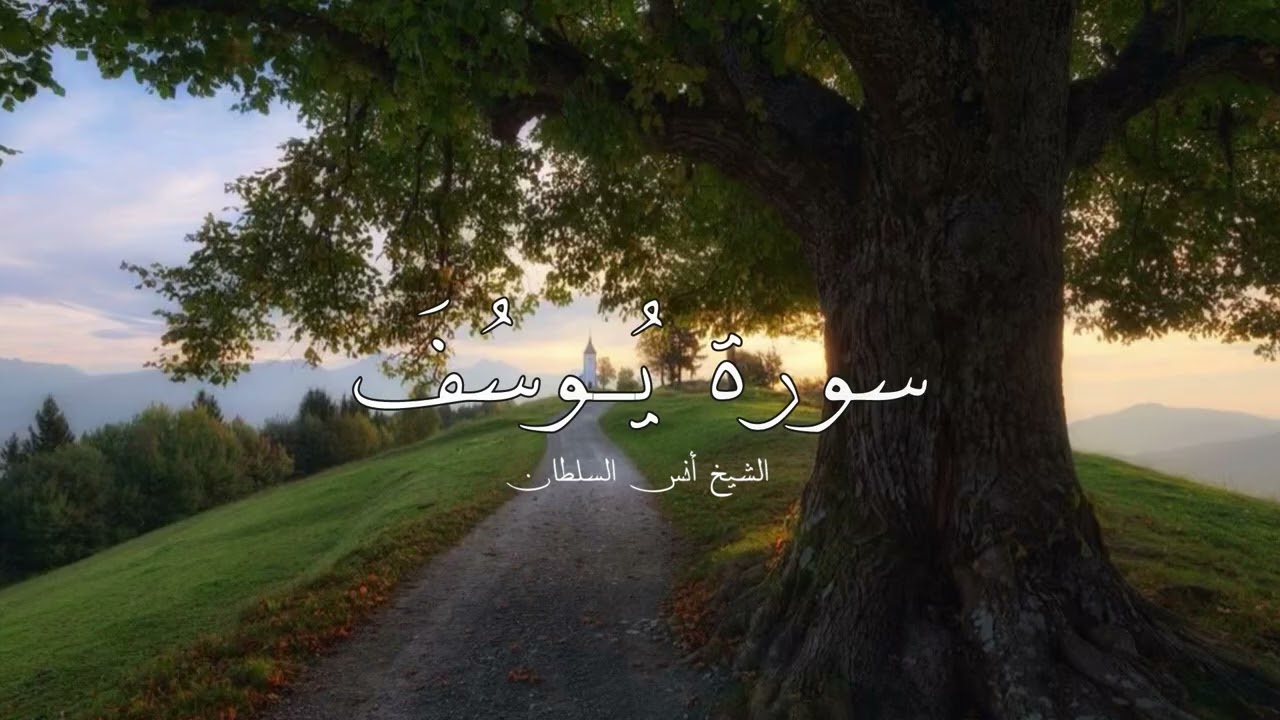 صلاة التراويح ليلة ١٧ رمضان ١٤٤٧هـ | سورة يوسف || الشيخ أنس السلطان 