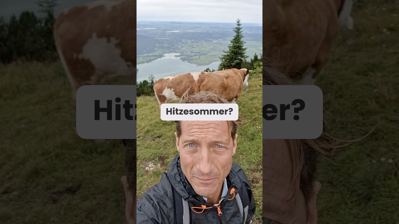Wie kommen Sie durch den Hitzesommer? #afd #ingohahn #klima #hitzesommer #sommer #berge #regen