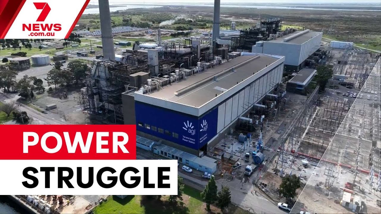 ‘Loyalty’ is a dirty word when it comes to Australians paying their power bills | 7NEWS