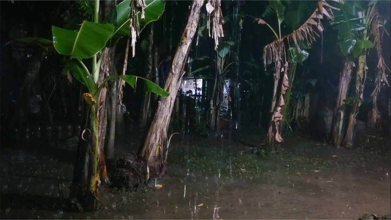 Rain Sounds at Night for Deep Sleep 🌧️ 1 Hour Gentle Wind & Street Light Atmosphere