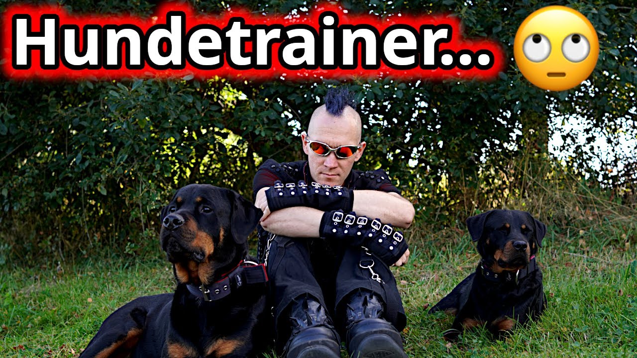 Warum mich Hundetrainer hassen - und nicht wollen, dass Du das hier hörst!