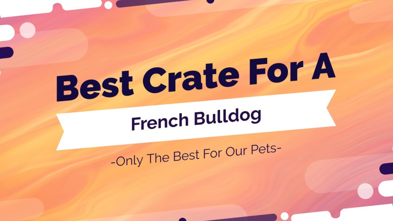 Best Dog Crate For French Bulldogs