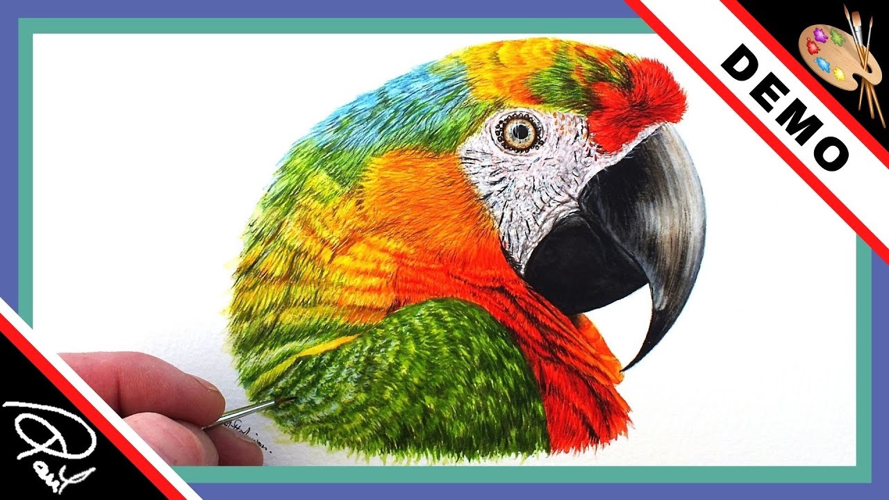 Watercolour Painting Tutorial - How To Paint a Parrot