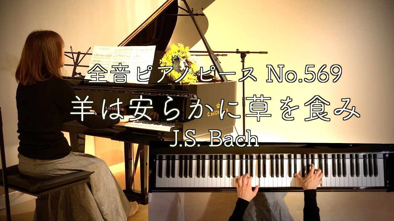【羊は安らかに草を食み/J.S.Bach】全音ピースNo.569