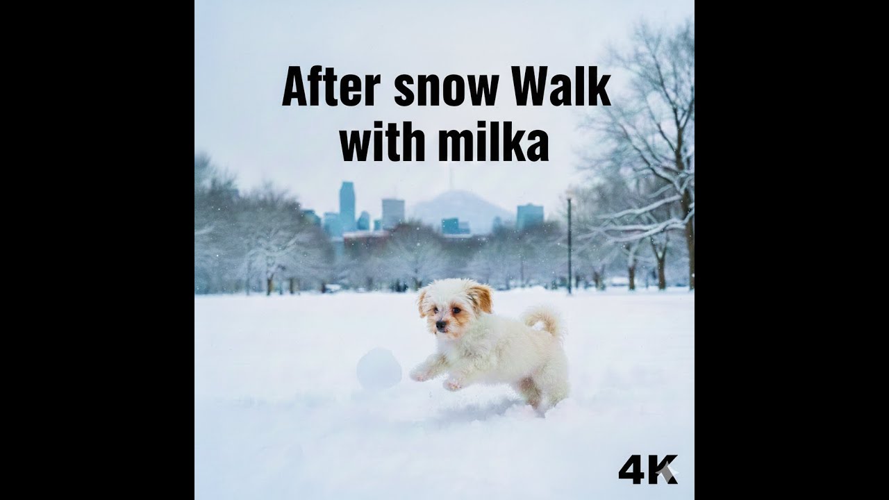 Snowy Montreal ❄️ Cinematic Winter Walk with Milka | Natural Sounds