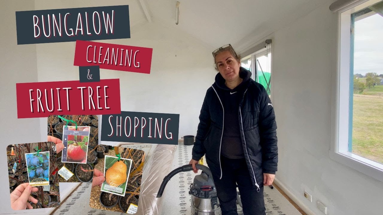 Cleaning the Bungalow & Buying Fruit Trees for Planting 🌳