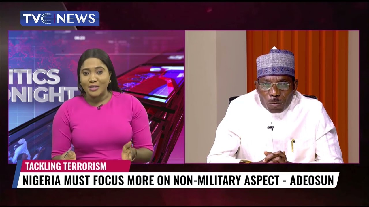 Pres. Tinubu Should Focus on Border Security, Technology To Tackle Insecurity - Gen. Adeosun