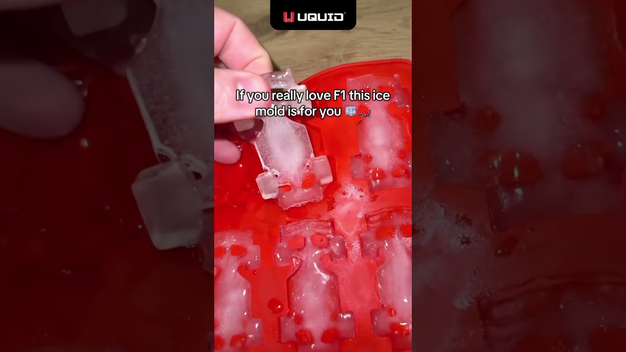 F1 ice mold #cool #coolfinds #f1 #formula1 #racing
