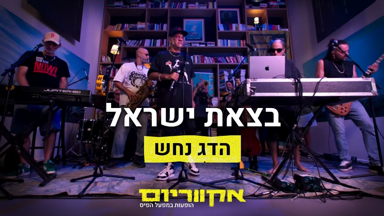 אקווריום - הדג נחש 